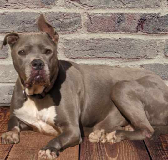 Photo of THOR THOR