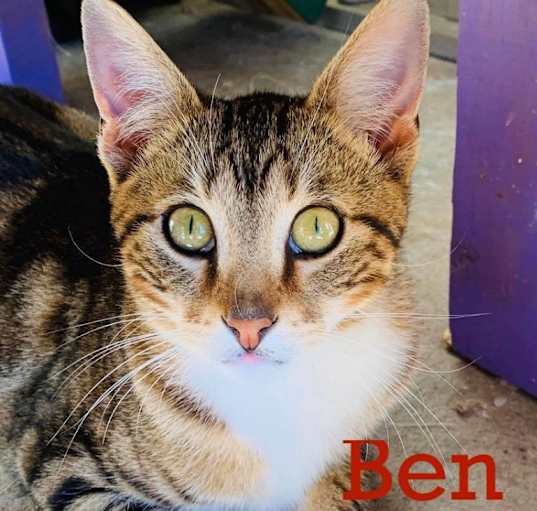 Photo of Ben