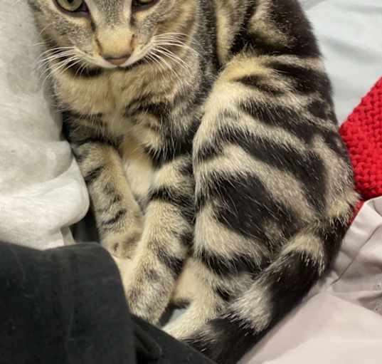 Photo of Cash
