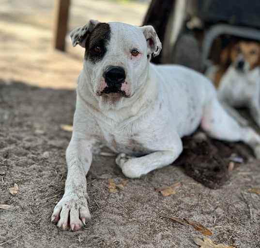 Photo of Waylon