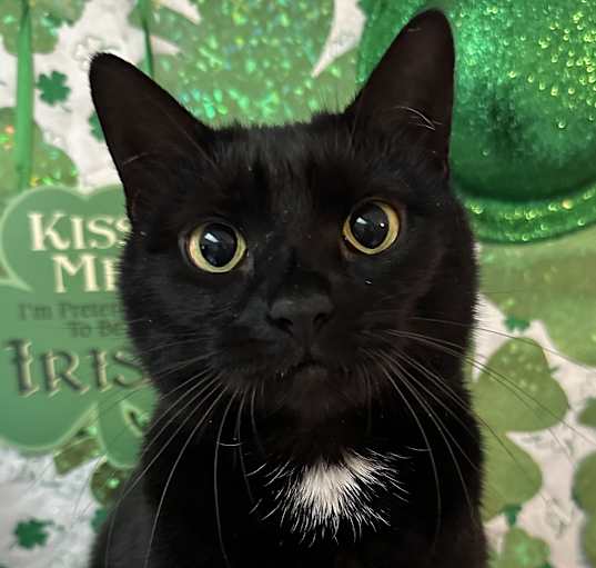 Photo of Tasha