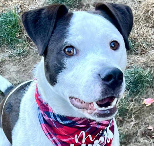 Photo of Ben
