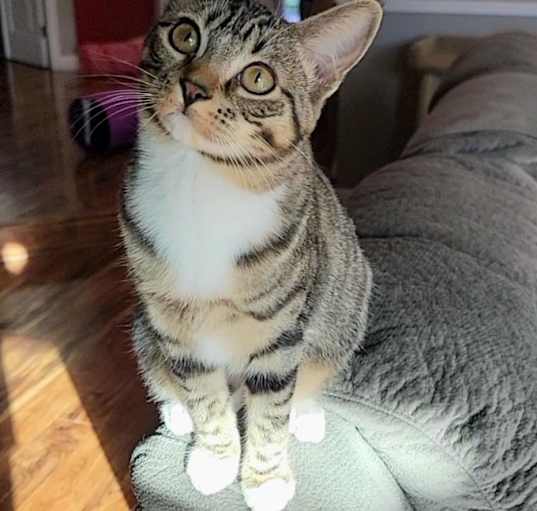 Photo of Betty