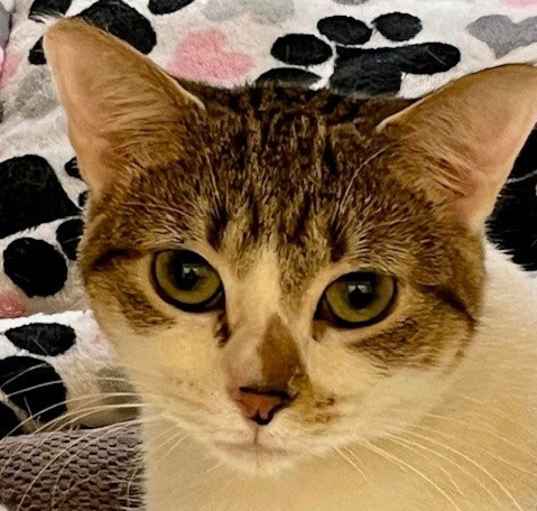 Photo of Fiona