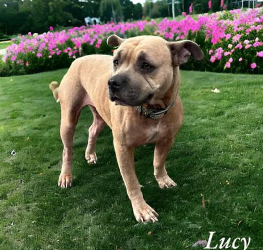 Photo of Lucy