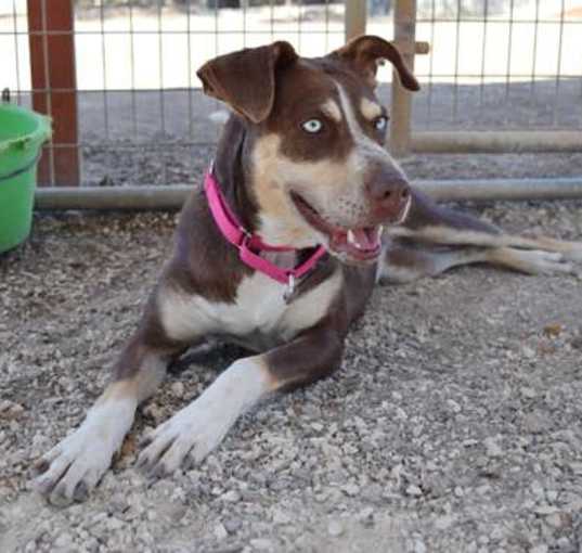 Photo of Maggie 9-9-23