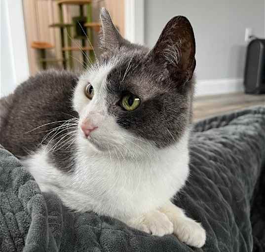 Photo of Abbey