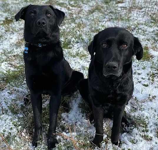 Photo of Ella (and Enzo)