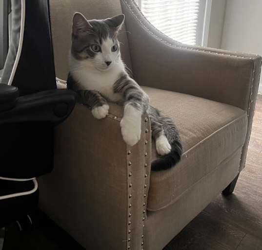 Photo of Buttons