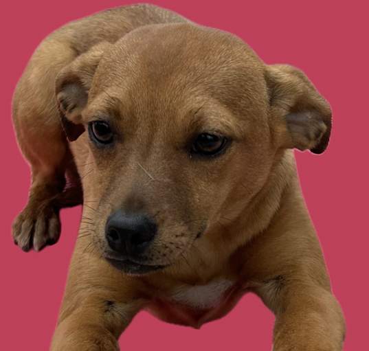 Photo of Griselda