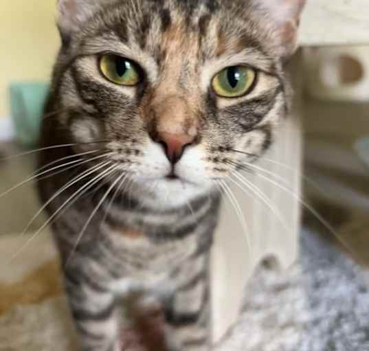 Photo of Icelyn