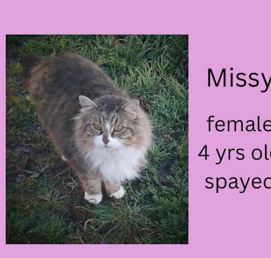 Photo of Missy