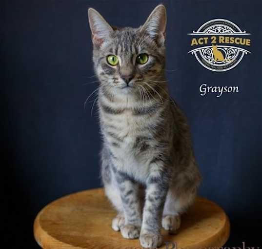 Photo of Grayson