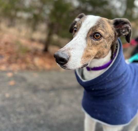 Photo of Charlie