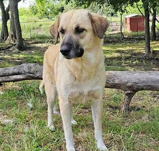 Photo of Sasha