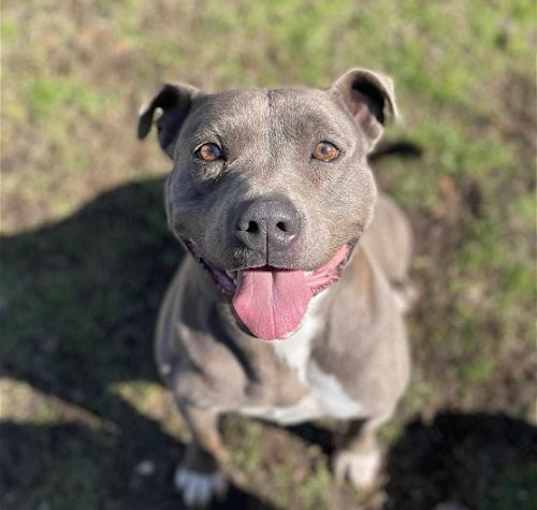 Photo of Winnie