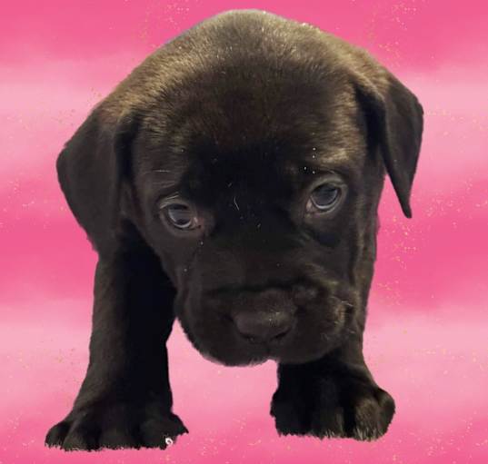 Photo of Imogen