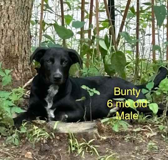 Photo of Bunty