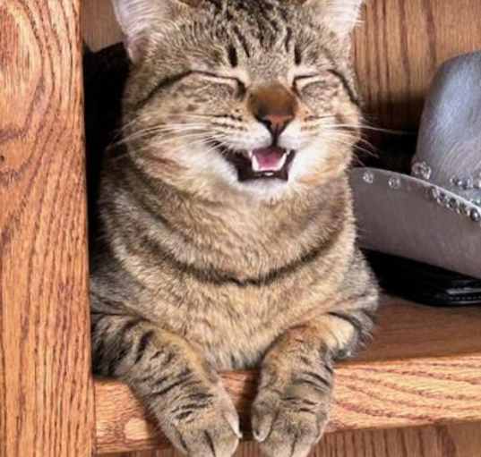 Photo of Lucky Larry