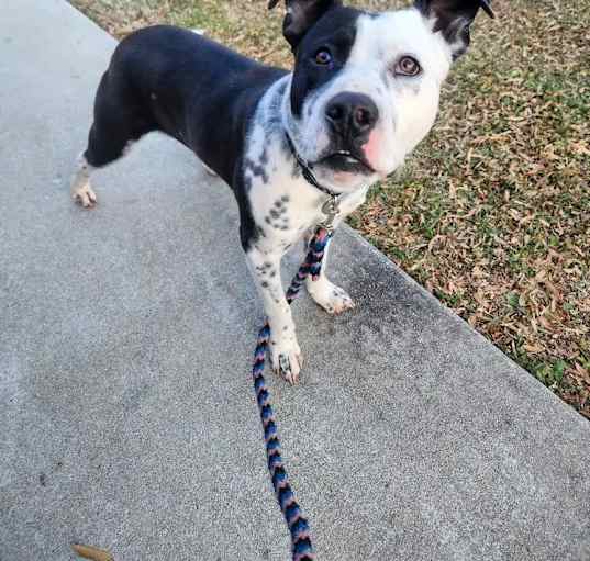 Photo of Benny