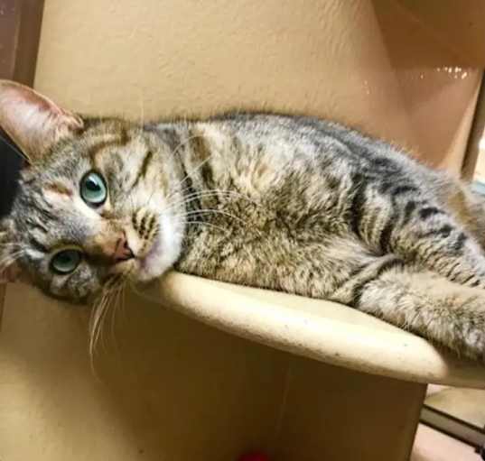 Photo of Missy Mama
