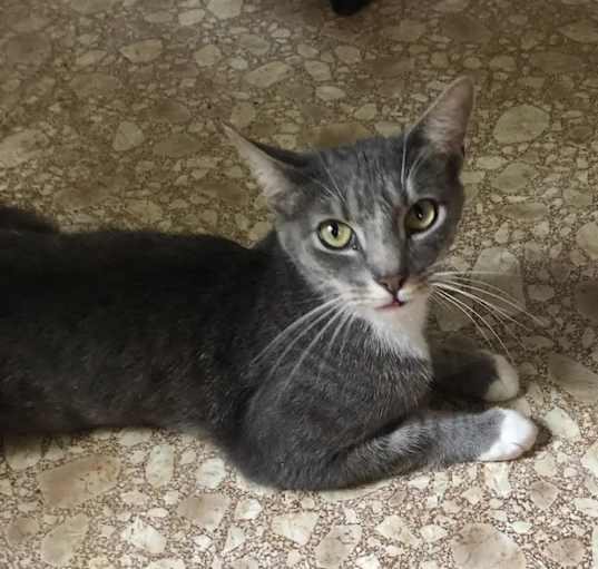 Photo of Sebastian