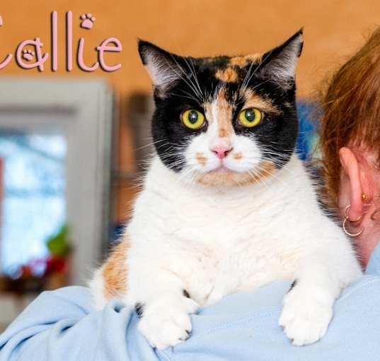 Photo of Callie