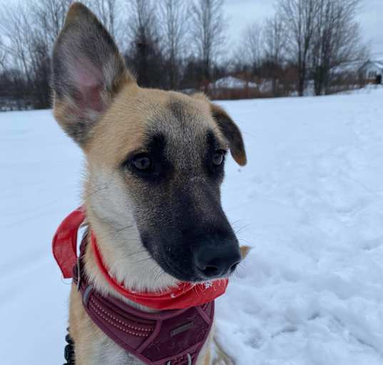 Photo of Hazel