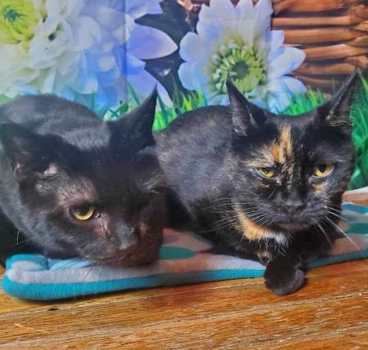 Photo of Myrtle & Rowena