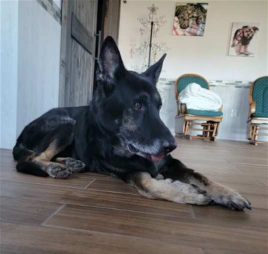 Photo of Big Buddy