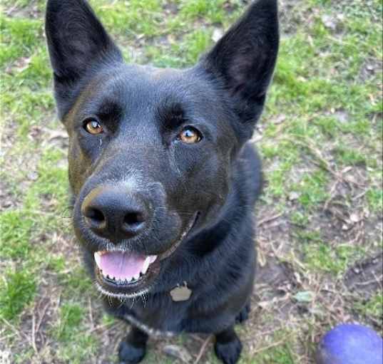 Photo of Roxie