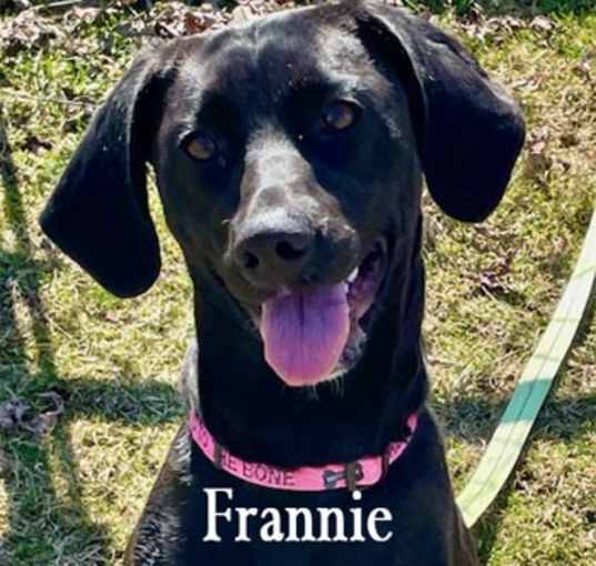 Photo of Frannie