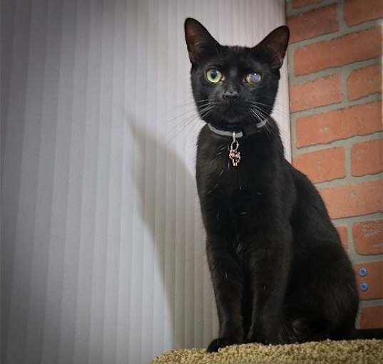 Photo of ARTHURO