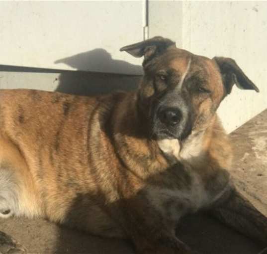 Photo of Waylon