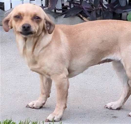 Photo of Winnie