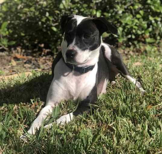 Photo of Khloe