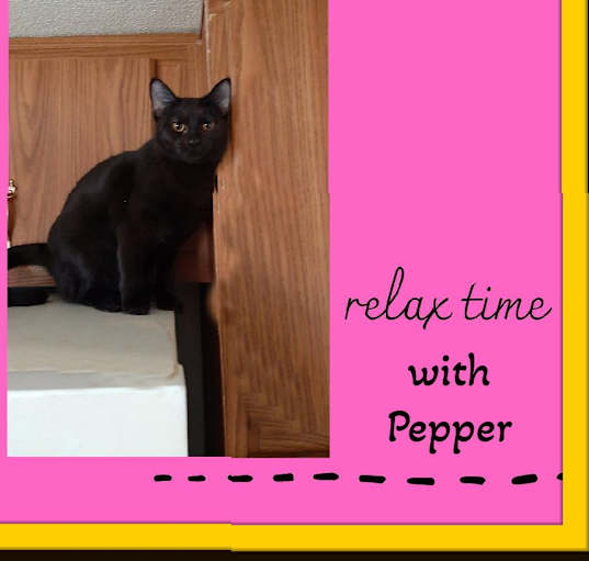 Photo of Pepper Lil Panther Gal