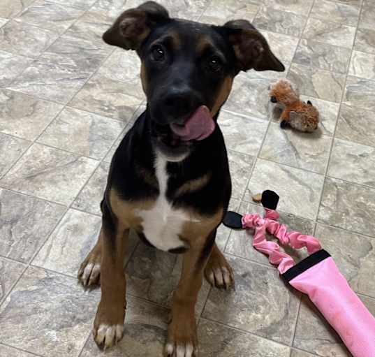 Photo of Ace