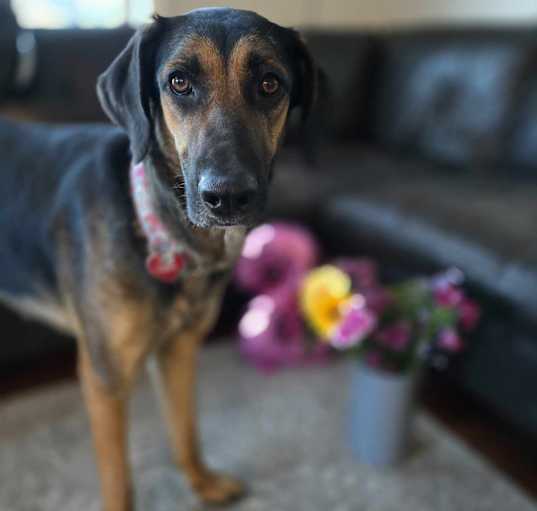 Photo of Nelly