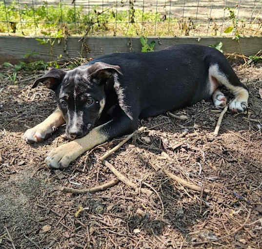 Photo of Marcie