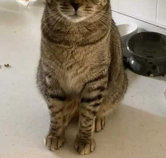 Photo of Freyja