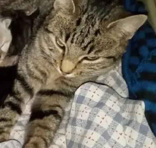 Photo of Momma Mia