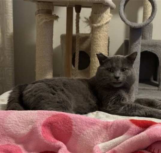 Photo of Smokey