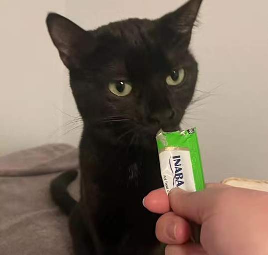 Photo of Ruby