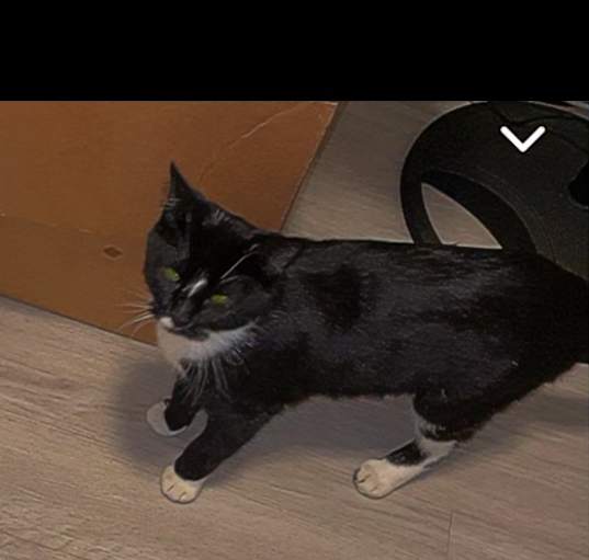 Photo of Scoop