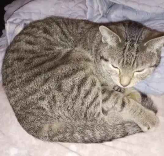 Photo of Bit Bit