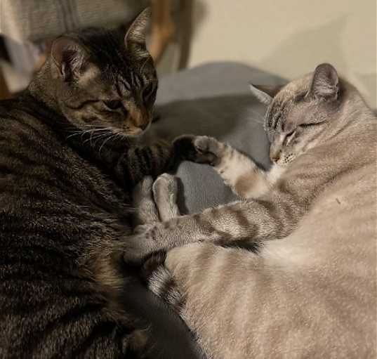 Photo of Francisco & Freeway
