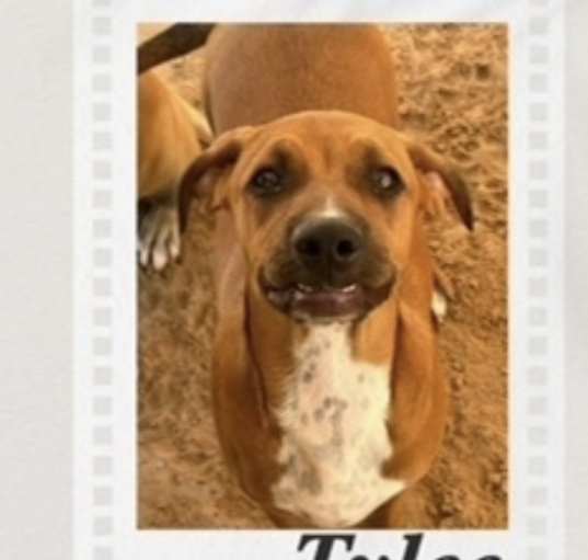 Photo of Tylee
