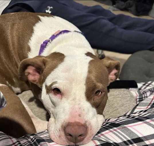 Photo of Tia - Totally Terrific!