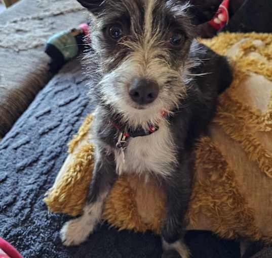 Photo of Simon